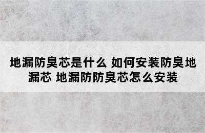 地漏防臭芯是什么 如何安装防臭地漏芯 地漏防防臭芯怎么安装